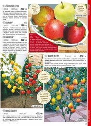 29. stránka Starkl letáku