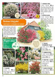 40. stránka Starkl letáku