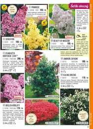 41. stránka Starkl letáku