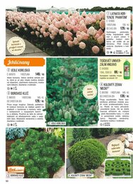 50. stránka Starkl letáku