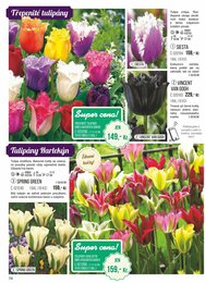 74. stránka Starkl letáku