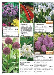 86. stránka Starkl letáku