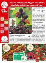 8. stránka Starkl letáku