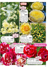 55. stránka Starkl letáku