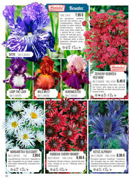 60. stránka Starkl letáku