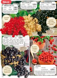 114. stránka Starkl letáku