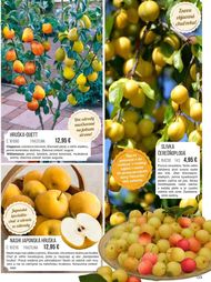 123. stránka Starkl letáku