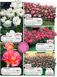 53. stránka Starkl letáku