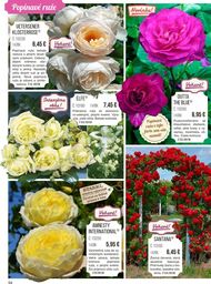 54. stránka Starkl letáku