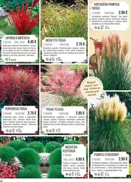 60. stránka Starkl letáku