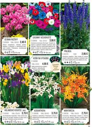 79. stránka Starkl letáku