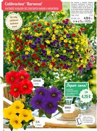 8. stránka Starkl letáku