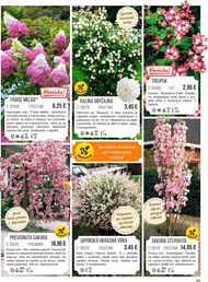 95. stránka Starkl letáku