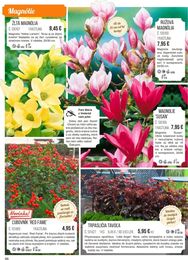 96. stránka Starkl letáku