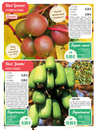 30. stránka Starkl letáku