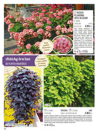 20. stránka Starkl letáku