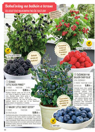 44. stránka Starkl letáku