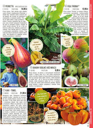 45. stránka Starkl letáku