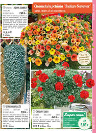 7. stránka Starkl letáku