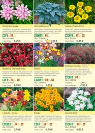 58. stránka Starkl letáku