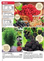 16. stránka Starkl letáku