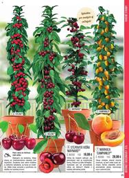 25. stránka Starkl letáku