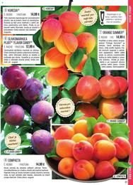 31. stránka Starkl letáku