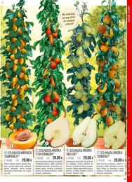 29. stránka Starkl letáku