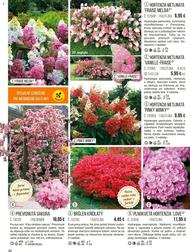 42. stránka Starkl letáku