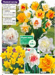 68. stránka Starkl letáku