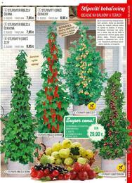 9. stránka Starkl letáku