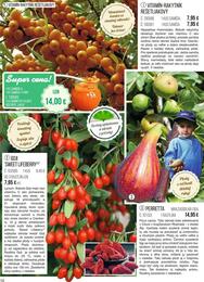 10. stránka Starkl letáku