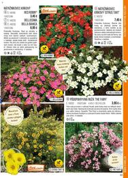 33. stránka Starkl letáku