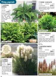 48. stránka Starkl letáku