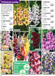 58. stránka Starkl letáku