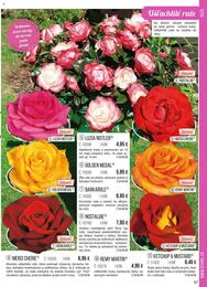 67. stránka Starkl letáku