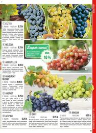 83. stránka Starkl letáku