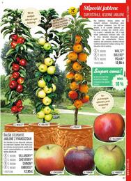 87. stránka Starkl letáku