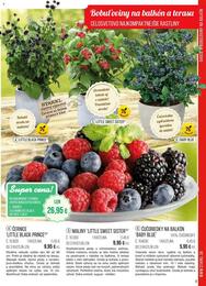 9. stránka Starkl letáku