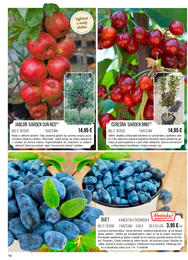 16. stránka Starkl letáku