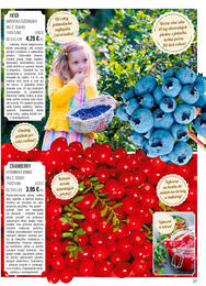 27. stránka Starkl letáku