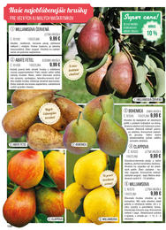 108. stránka Starkl letáku