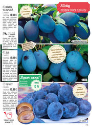 115. stránka Starkl letáku