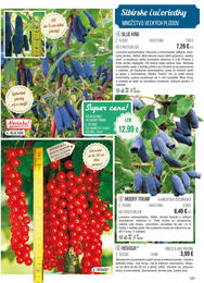 121. stránka Starkl letáku