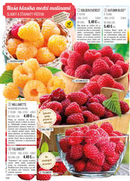 122. stránka Starkl letáku