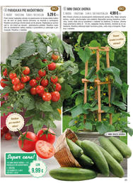 31. stránka Starkl letáku