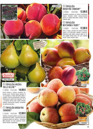 35. stránka Starkl letáku