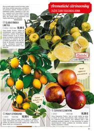 41. stránka Starkl letáku