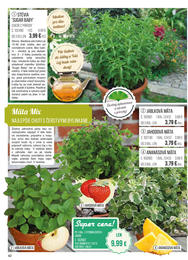 42. stránka Starkl letáku