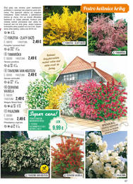 57. stránka Starkl letáku